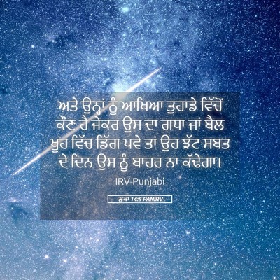 Picture 05 - ਲੂਕਾ 14:5 PANIRV - ਅਤੇ ਉਨ੍ਹਾਂ ਨੂੰ - Bible Verse Picture