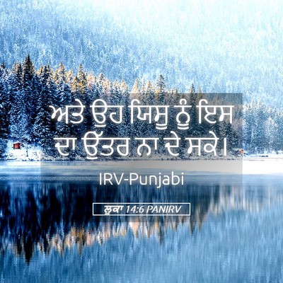 Picture 05 - ਲੂਕਾ 14:6 PANIRV - ਅਤੇ ਉਹ ਯਿਸੂ ਨੂੰ ਇਸ - Bible Verse Picture