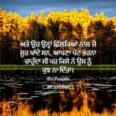 Picture 05 - ਲੂਕਾ 15:16 PANIRV - ਅਤੇ ਉਹ ਉਨ੍ਹਾਂ - Bible Verse Picture