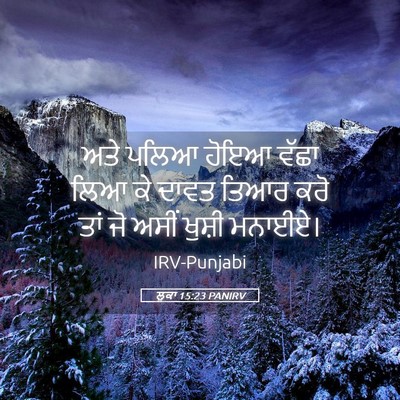 Picture 05 - ਲੂਕਾ 15:23 PANIRV - ਅਤੇ ਪਲਿਆ ਹੋਇਆ ਵੱਛਾ - Bible Verse Picture