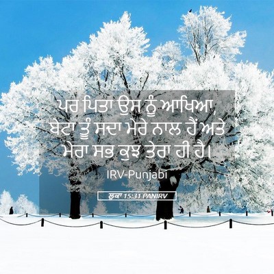 Picture 05 - ਲੂਕਾ 15:31 PANIRV - ਪਰ ਪਿਤਾ ਉਸ ਨੂੰ - Bible Verse Picture