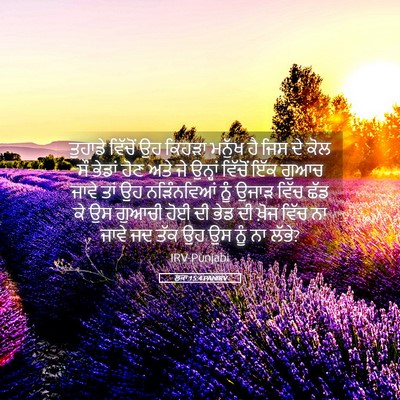 Picture 05 - ਲੂਕਾ 15:4 PANIRV - ਤੁਹਾਡੇ ਵਿੱਚੋਂ ਉਹ - Bible Verse Picture