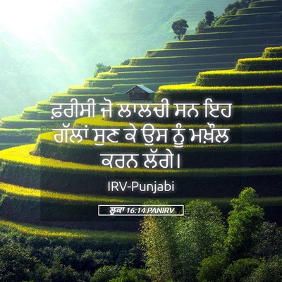 Picture 05 - ਲੂਕਾ 16:14 PANIRV - ਫ਼ਰੀਸੀ ਜੋ ਲਾਲਚੀ ਸਨ - Bible Verse Picture