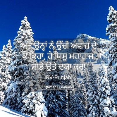 Picture 05 - ਲੂਕਾ 17:13 PANIRV - ਅਤੇ ਉਨ੍ਹਾਂ ਨੇ ਉੱਚੀ - Bible Verse Picture