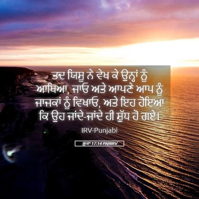 Picture 05 - ਲੂਕਾ 17:14 PANIRV - ਤਦ ਯਿਸੂ ਨੇ ਵੇਖ ਕੇ - Bible Verse Picture