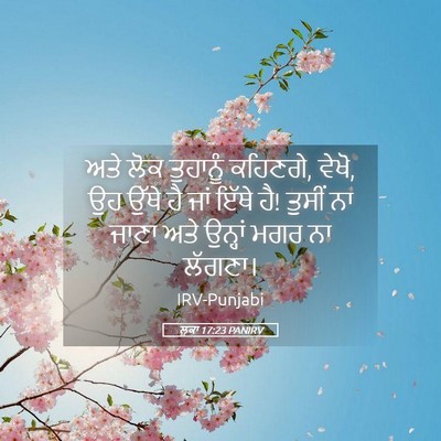 Picture 05 - ਲੂਕਾ 17:23 PANIRV - ਅਤੇ ਲੋਕ ਤੁਹਾਨੂੰ - Bible Verse Picture