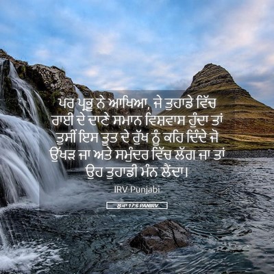 Picture 05 - ਲੂਕਾ 17:6 PANIRV - ਪਰ ਪ੍ਰਭੂ ਨੇ ਆਖਿਆ, - Bible Verse Picture