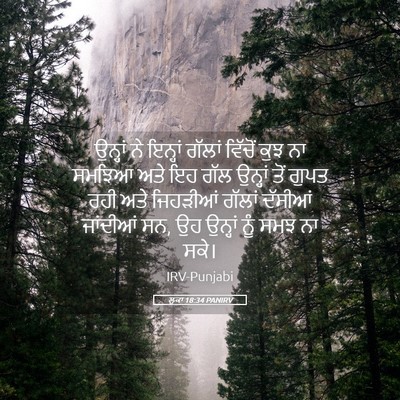 Picture 05 - ਲੂਕਾ 18:34 PANIRV - ਉਨ੍ਹਾਂ ਨੇ ਇਨ੍ਹਾਂ - Bible Verse Picture
