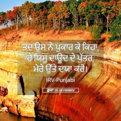 Picture 05 - ਲੂਕਾ 18:38 PANIRV - ਤਦ ਉਸ ਨੇ ਪੁਕਾਰ ਕੇ - Bible Verse Picture