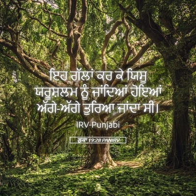 Picture 05 - ਲੂਕਾ 19:28 PANIRV - ਇਹ ਗੱਲਾਂ ਕਰ ਕੇ ਯਿਸੂ - Bible Verse Picture