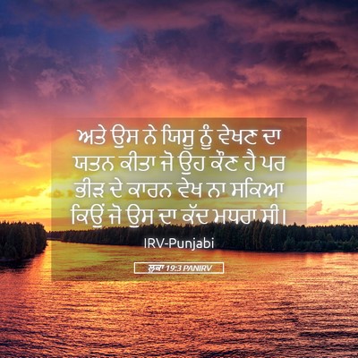 Picture 05 - ਲੂਕਾ 19:3 PANIRV - ਅਤੇ ਉਸ ਨੇ ਯਿਸੂ ਨੂੰ - Bible Verse Picture