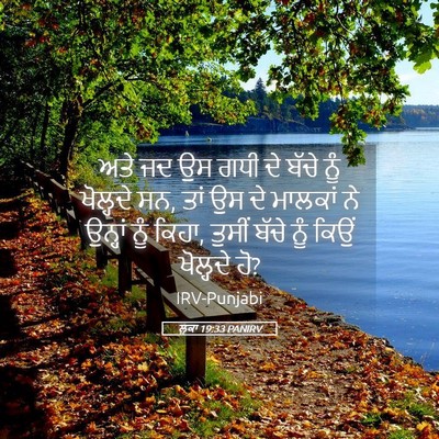 Picture 05 - ਲੂਕਾ 19:33 PANIRV - ਅਤੇ ਜਦ ਉਸ ਗਧੀ ਦੇ - Bible Verse Picture