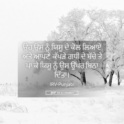 Picture 05 - ਲੂਕਾ 19:35 PANIRV - ਉਹ ਉਸ ਨੂੰ ਯਿਸੂ ਦੇ - Bible Verse Picture
