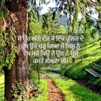 Picture 05 - ਲੂਕਾ 19:4 PANIRV - ਸੋ ਉਹ ਅੱਗੇ ਦੌੜ ਕੇ - Bible Verse Picture