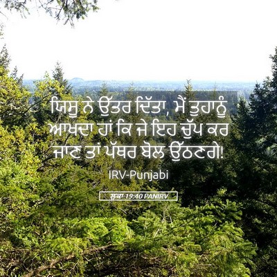 Picture 05 - ਲੂਕਾ 19:40 PANIRV - ਯਿਸੂ ਨੇ ਉੱਤਰ ਦਿੱਤਾ, - Bible Verse Picture