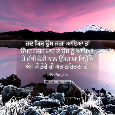 Picture 05 - ਲੂਕਾ 19:5 PANIRV - ਜਦ ਯਿਸੂ ਉਸ ਜਗਾ ਆਇਆ - Bible Verse Picture