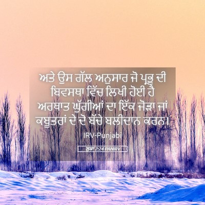 Picture 05 - ਲੂਕਾ 2:24 PANIRV - ਅਤੇ ਉਸ ਗੱਲ ਅਨੁਸਾਰ - Bible Verse Picture