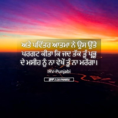 Picture 05 - ਲੂਕਾ 2:26 PANIRV - ਅਤੇ ਪਵਿੱਤਰ ਆਤਮਾ ਨੇ - Bible Verse Picture