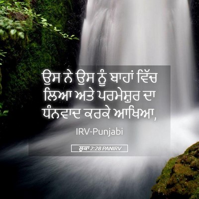 Picture 05 - ਲੂਕਾ 2:28 PANIRV - ਉਸ ਨੇ ਉਸ ਨੂੰ ਬਾਹਾਂ - Bible Verse Picture