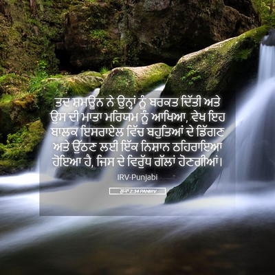 Picture 05 - ਲੂਕਾ 2:34 PANIRV - ਤਦ ਸ਼ਮਊਨ ਨੇ ਉਨ੍ਹਾਂ - Bible Verse Picture