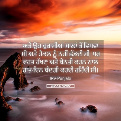 Picture 05 - ਲੂਕਾ 2:37 PANIRV - ਅਤੇ ਉਹ ਚੁਰਾਸੀਆਂ - Bible Verse Picture