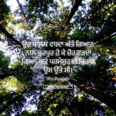 Picture 05 - ਲੂਕਾ 2:40 PANIRV - ਉਹ ਬਾਲਕ ਵਧਦਾ ਅਤੇ - Bible Verse Picture
