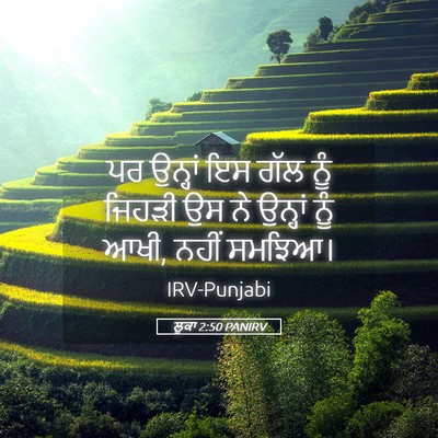 Picture 05 - ਲੂਕਾ 2:50 PANIRV - ਪਰ ਉਨ੍ਹਾਂ ਇਸ ਗੱਲ - Bible Verse Picture