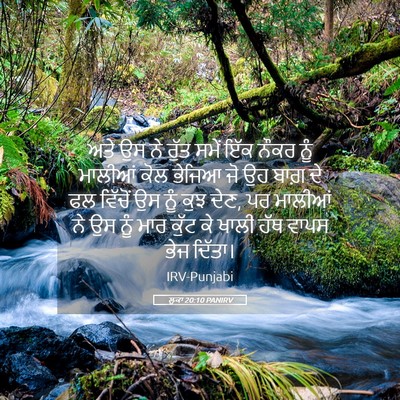 Picture 05 - ਲੂਕਾ 20:10 PANIRV - ਅਤੇ ਉਸ ਨੇ ਰੁੱਤ ਸਮੇਂ - Bible Verse Picture