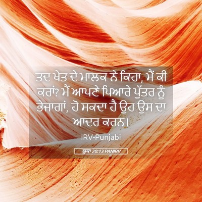 Picture 05 - ਲੂਕਾ 20:13 PANIRV - ਤਦ ਖੇਤ ਦੇ ਮਾਲਕ ਨੇ - Bible Verse Picture