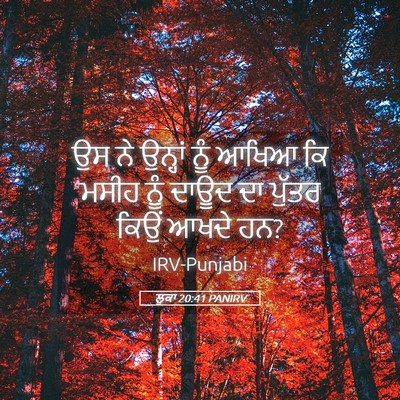 Picture 05 - ਲੂਕਾ 20:41 PANIRV - ਉਸ ਨੇ ਉਨ੍ਹਾਂ ਨੂੰ - Bible Verse Picture