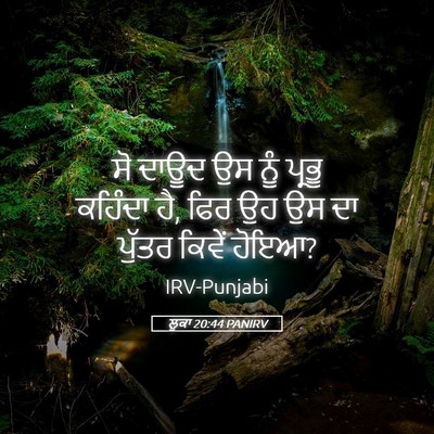 Picture 05 - ਲੂਕਾ 20:44 PANIRV - ਸੋ ਦਾਊਦ ਉਸ ਨੂੰ - Bible Verse Picture