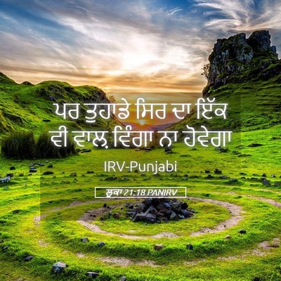 Picture 05 - ਲੂਕਾ 21:18 PANIRV - ਪਰ ਤੁਹਾਡੇ ਸਿਰ ਦਾ - Bible Verse Picture