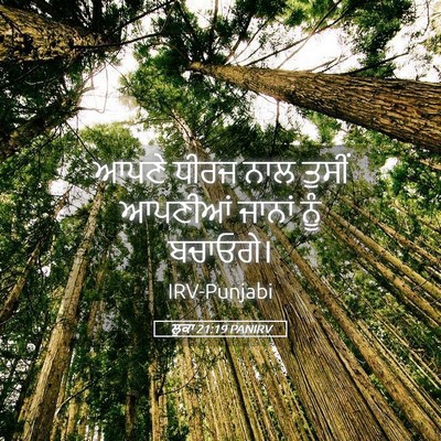Picture 05 - ਲੂਕਾ 21:19 PANIRV - ਆਪਣੇ ਧੀਰਜ ਨਾਲ - Bible Verse Picture