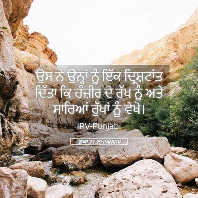 Picture 05 - ਲੂਕਾ 21:29 PANIRV - ਉਸ ਨੇ ਉਨ੍ਹਾਂ ਨੂੰ - Bible Verse Picture