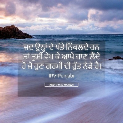 Picture 05 - ਲੂਕਾ 21:30 PANIRV - ਜਦ ਉਨ੍ਹਾਂ ਦੇ ਪੱਤੇ - Bible Verse Picture
