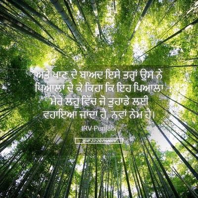 Picture 05 - ਲੂਕਾ 22:20 PANIRV - ਅਤੇ ਖਾਣ ਦੇ ਬਾਅਦ ਇਸੇ - Bible Verse Picture