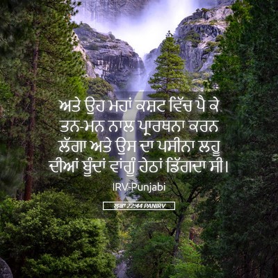 Picture 05 - ਲੂਕਾ 22:44 PANIRV - ਅਤੇ ਉਹ ਮਹਾਂ ਕਸ਼ਟ - Bible Verse Picture