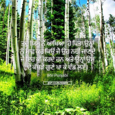 Picture 05 - ਲੂਕਾ 23:34 PANIRV - ਤਦ ਯਿਸੂ ਨੇ ਆਖਿਆ, ਹੇ - Bible Verse Picture