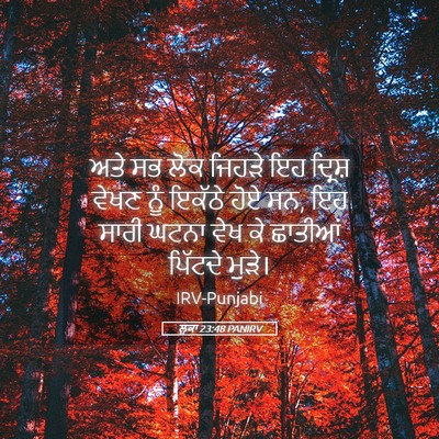 Picture 05 - ਲੂਕਾ 23:48 PANIRV - ਅਤੇ ਸਭ ਲੋਕ ਜਿਹੜੇ ਇਹ - Bible Verse Picture