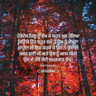 Picture 05 - ਲੂਕਾ 23:8 PANIRV - ਹੇਰੋਦੇਸ ਯਿਸੂ ਨੂੰ - Bible Verse Picture