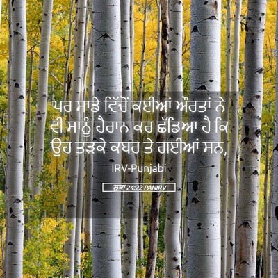 Picture 05 - ਲੂਕਾ 24:22 PANIRV - ਪਰ ਸਾਡੇ ਵਿੱਚੋਂ - Bible Verse Picture