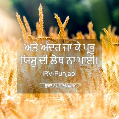 Picture 05 - ਲੂਕਾ 24:3 PANIRV - ਅਤੇ ਅੰਦਰ ਜਾ ਕੇ - Bible Verse Picture