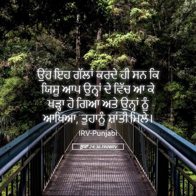 Picture 05 - ਲੂਕਾ 24:36 PANIRV - ਉਹ ਇਹ ਗੱਲਾਂ ਕਰਦੇ ਹੀ - Bible Verse Picture