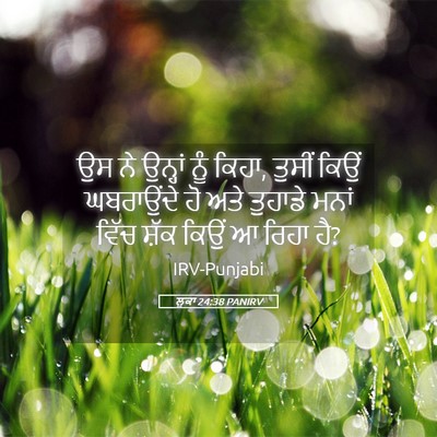 Picture 05 - ਲੂਕਾ 24:38 PANIRV - ਉਸ ਨੇ ਉਨ੍ਹਾਂ ਨੂੰ - Bible Verse Picture