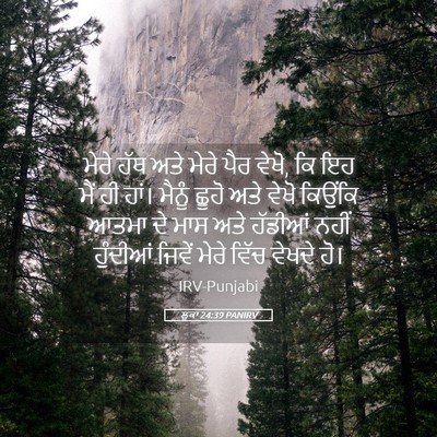 Picture 05 - ਲੂਕਾ 24:39 PANIRV - ਮੇਰੇ ਹੱਥ ਅਤੇ ਮੇਰੇ - Bible Verse Picture