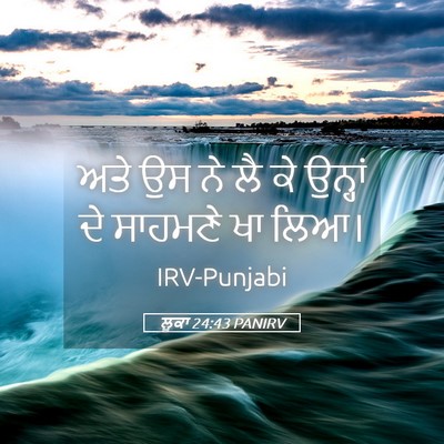 Picture 05 - ਲੂਕਾ 24:43 PANIRV - ਅਤੇ ਉਸ ਨੇ ਲੈ ਕੇ - Bible Verse Picture