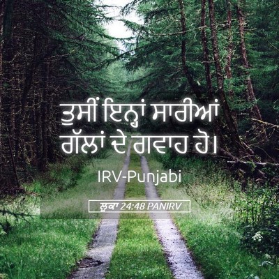 Picture 05 - ਲੂਕਾ 24:48 PANIRV - ਤੁਸੀਂ ਇਨ੍ਹਾਂ - Bible Verse Picture