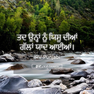 Picture 05 - ਲੂਕਾ 24:8 PANIRV - ਤਦ ਉਨ੍ਹਾਂ ਨੂੰ ਯਿਸੂ - Bible Verse Picture