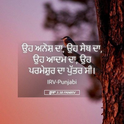 Picture 05 - ਲੂਕਾ 3:38 PANIRV - ਉਹ ਅਨੋਸ਼ ਦਾ, ਉਹ ਸੇਥ - Bible Verse Picture
