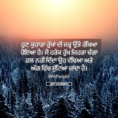Picture 05 - ਲੂਕਾ 3:9 PANIRV - ਹੁਣ ਕੁਹਾੜਾ ਰੁੱਖਾਂ - Bible Verse Picture